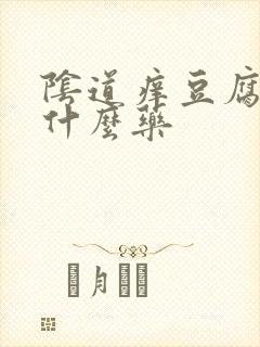 阴道痒豆腐渣用什么药