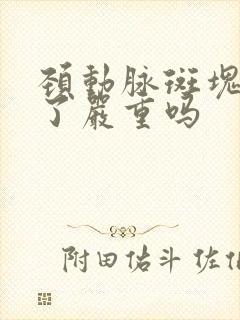 颈动脉斑块形成了严重吗