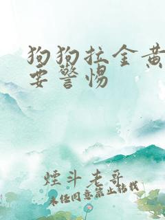 狗狗拉金黄软便要警惕