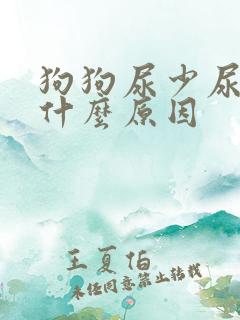 狗狗尿少尿黄是什么原因