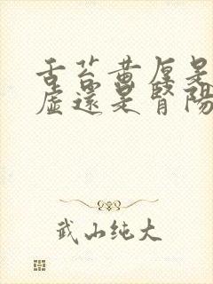 舌苔黄厚是肾阴虚还是肾阳