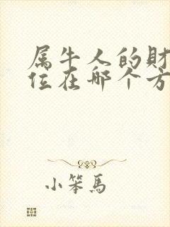 属牛人的财运方位在哪个方向