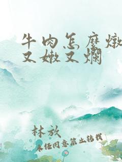 牛肉怎么炖好吃又嫩又烂