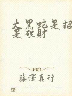 大黑蛇是招财还是破财