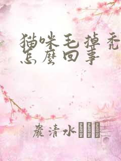 猫咪毛掉秃了是怎么回事