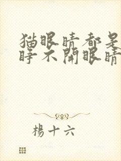 猫眼睛都是眼屎睁不开眼睛怎么办