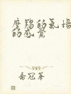 摩羯的气场给人的感觉