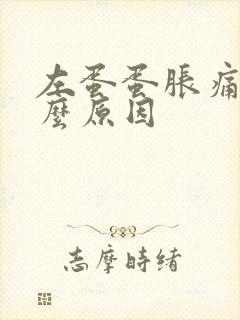 左蛋蛋胀痛是什么原因