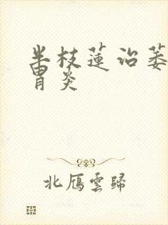 半枝莲治萎缩性胃炎