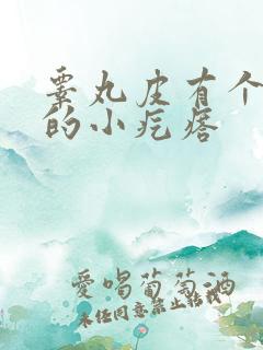 睾丸皮有个硬硬的小疙瘩