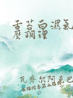 舌苔白湿气重怎么调理