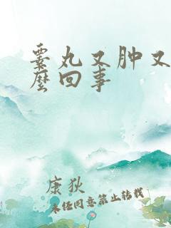 睾丸又肿又疼怎么回事