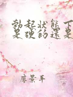 勃起状态下龟头是硬的还是软的