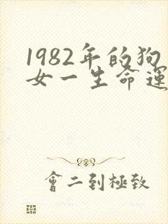 1982年的狗女一生命运