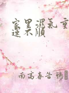 家里湿气重,财运不顺