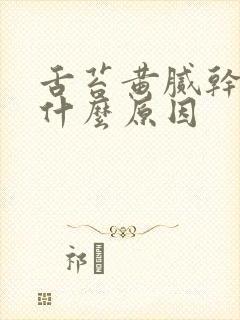 舌苔黄腻干燥是什么原因