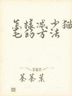 怎样减少猫咪掉毛的方法