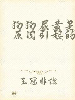 狗狗尿黄是什么原因引起的