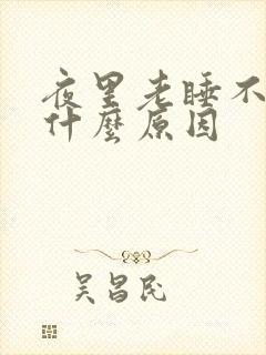 夜里老睡不着是什么原因