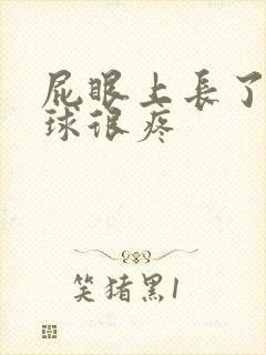 屁眼上长了个肉球很疼