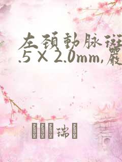 左颈动脉斑块8.5×2.0mm,严重吗