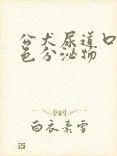 公犬尿道口黄绿色分泌物