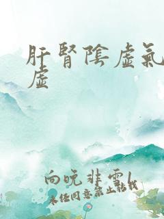 肝肾阴虚气血两虚