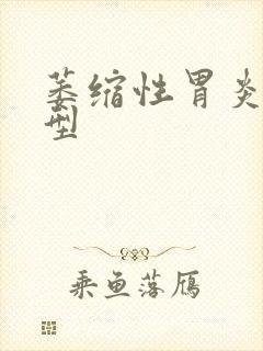 萎缩性胃炎02型