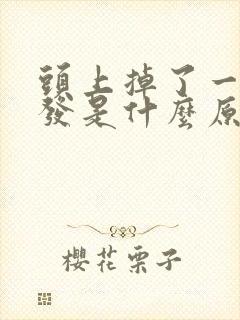 头上掉了一块头发是什么原因