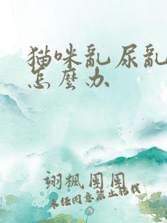 猫咪乱尿乱拉屎怎么办