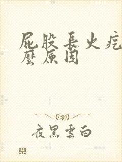 屁股长火疙瘩什么原因