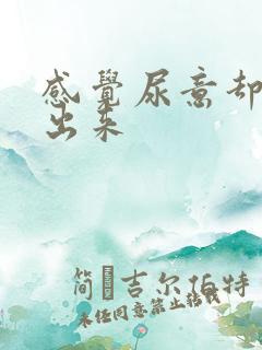 感觉尿意却尿不出来