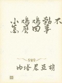 小鸡鸡勃不起是怎么回事