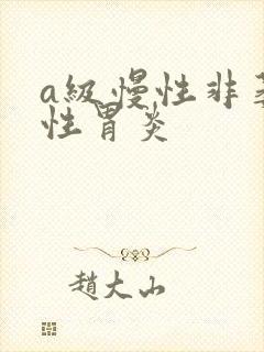 a级慢性非萎缩性胃炎