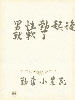 男性勃起后一下就软了