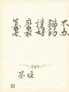 怎么让猫不掉毛是最好的办法