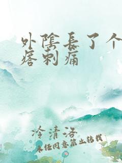 外阴长了个硬疙瘩刺痛