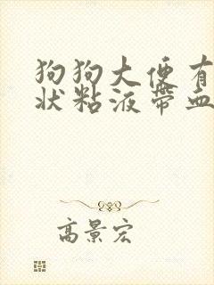 狗狗大便有果冻状粘液带血丝