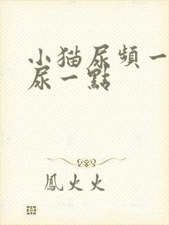 小猫尿频一次只尿一点