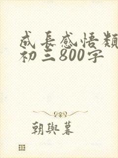 成长感悟类作文初三800字