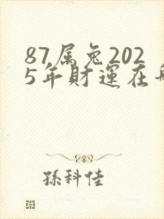 87属兔2025年财运在哪个方向