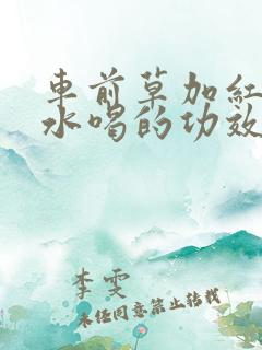 车前草加红枣煮水喝的功效