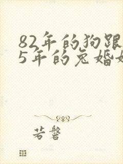 82年的狗跟75年的兔婚姻相配吗