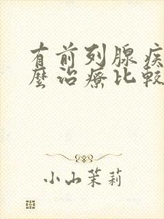 有前列腺疾病怎么治疗比较好