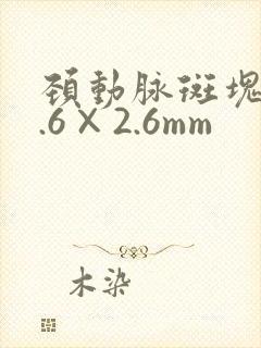 颈动脉斑块12.6×2.6mm