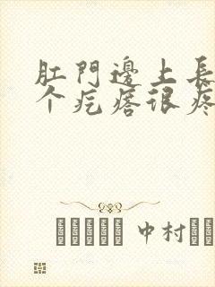 肛门边上长了一个疙瘩很疼