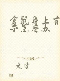 仓鼠身上有小虫子怎么办