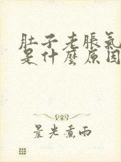 肚子老胀气放屁是什么原因导致的