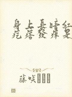 身上长暗红色的疙瘩发痒是什么原因