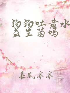 狗狗吐黄水能吃益生菌吗